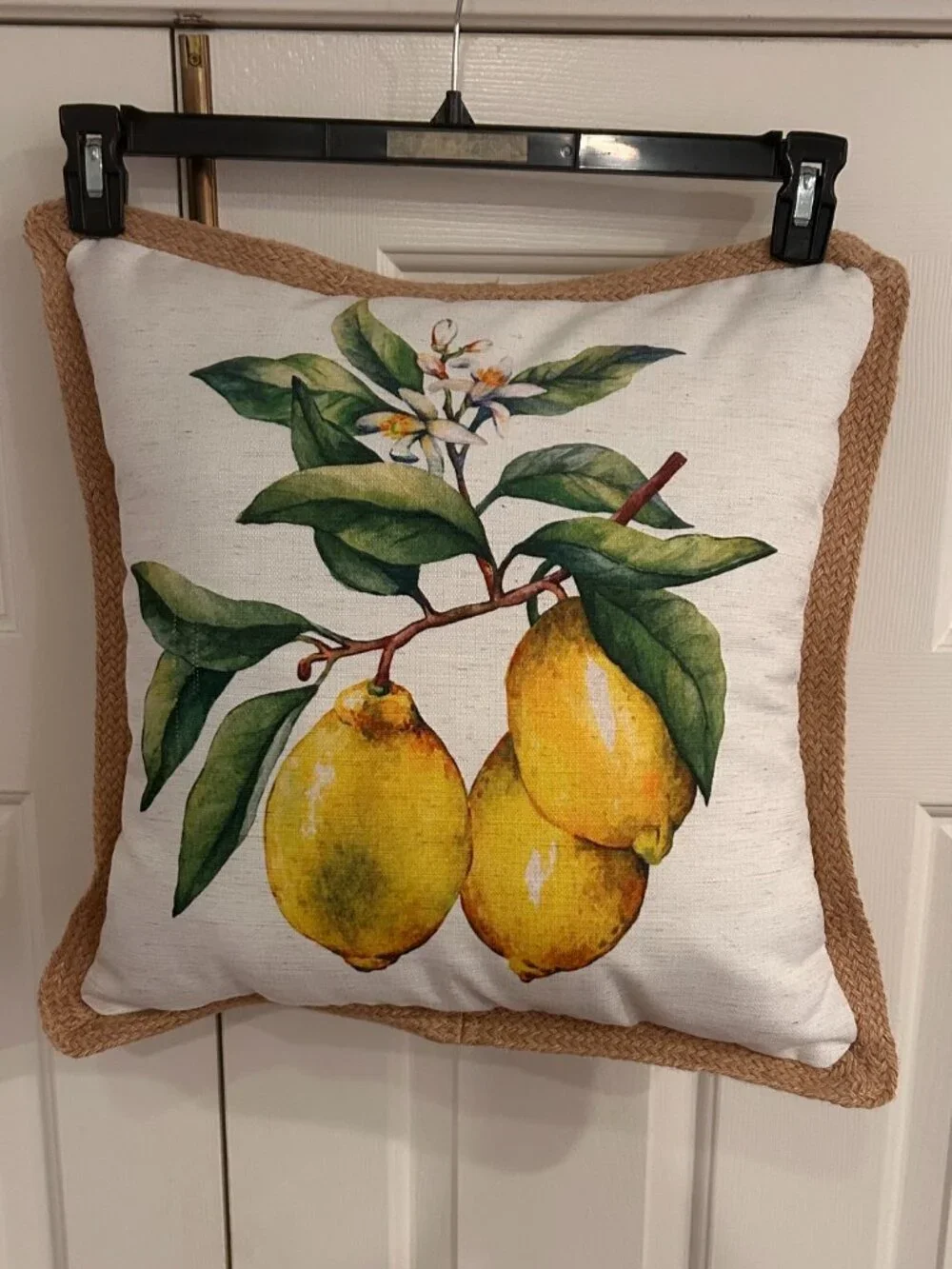 Lemon Throw Pillow in Excellent Condition 18 x 18 inches NWOT